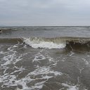 ���� ����, ���������, 47 ��� - ��������� 17 ������� 2015 � ������ ��������� �����