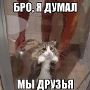 ���� �����, ������������ - ��������� 26 ���� 2015 � ������ ������ ��������
