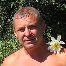 ����, ��������, 63 ����