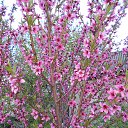 ���� ����, �������� - ��������� 8 ��� 2015 � ������ ������ ��������