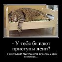 ���� ������, ��������, 42 ���� - ��������� 25 ������ 2015 � ������ ������ ��������