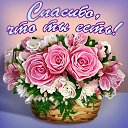 ���� ������, ���� - ��������� 15 ���� 2015 � ������ �������� ��������
