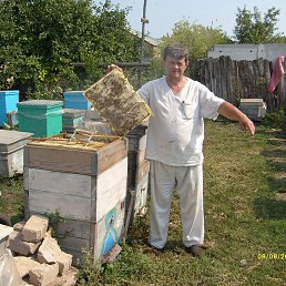 �������, ������