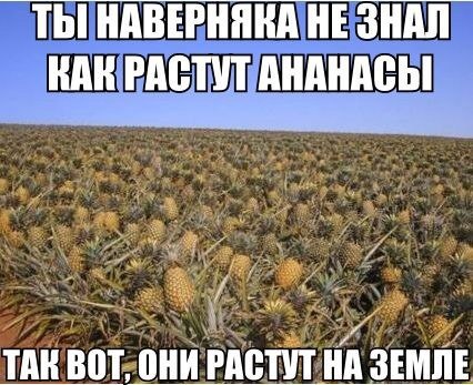 ������� ����� ����� :-) - 9 �������� 2015 � 04:40