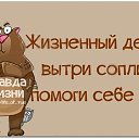 ���� ��������, ������, 36 ��� - ��������� 7 ��� 2015 � ������ ������ ��������
