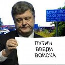 ���� ���������, ������������, 46 ��� - ��������� 13 ���� 2015 � ������ ������ ��������