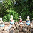    -  ,  -  4  2015    2014.  .  6-.