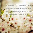 ���� �������, �����, 50 ��� - ��������� 24 ��� 2015 � ������ ������ ��������