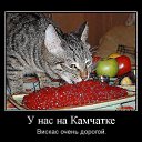 ���� ����, ���� - ��������� 31 ��� 2015 � ������ ������ ��������