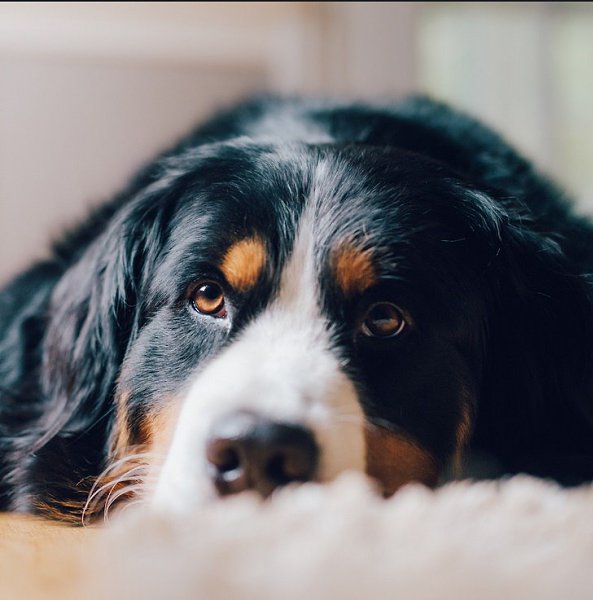   - 29  2015  14:45 - 3