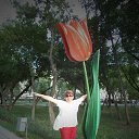 ���� �������, ��������, 64 ���� - ��������� 29 ������� 2015 � ������ ���� ����������