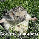 ���� ������� M, ������, 84 ���� - ��������� 29 ������� 2015 � ������ ���� ����������