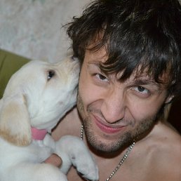 ����, �����, 37 ���