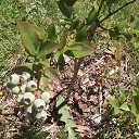 ���� Nik, ���������, 46 ��� - ��������� 4 ���� 2015 � ������ ���� ����������