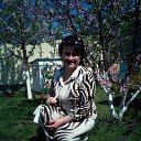  ,  , 57  -  12  2015    