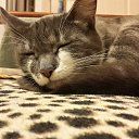 ���� �����, �����-���������, 48 ��� - ��������� 30 ���� 2015 � ������ ���� ����������