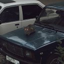 ��� ����-���������� �� ������� ���� ����������