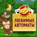 ������� ��������-3 ������ �� ������� ���������-������� �������� ������� ������
