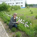 ���� ������, ��������� - ��������� 2 ���� 2015 � ������ ������!!!�