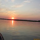  , -- -  19  2015    2015