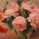 ����� �� ������� ���� ����������