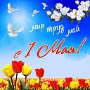 ���� �������, ������, 66 ��� - ��������� 9 ��� 2015 � ������ �������� ��������