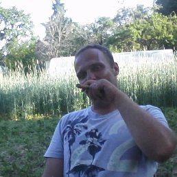 �������, �����-���������, 50 ���