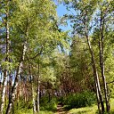 ���� ������, ��������, 62 ���� - ��������� 17 ���� 2015 � ������ ���� ����������