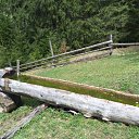 ���� ������, �����-��������� - ��������� 16 ��� 2015 � ������ ����� (���� vs ����)�