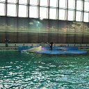 ���� ������, �����-���������, 70 ��� - ��������� 22 �������� 2015 � ������ �� ����������� �����-����������