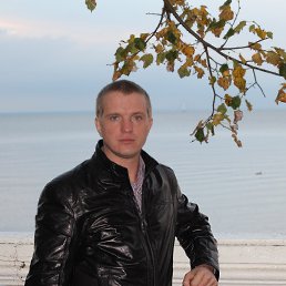 ��������, �������, 41 ���