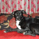 ���� ***Ol, ����, 55 ��� - ��������� 6 ���� 2015 � ������ ���� ����������