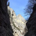 ���� ����, �����, 38 ��� - ��������� 23 ������� 2015 � ������ ���� ����������