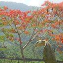    -  ,  -  30  2015   .  2015.   .  3-.