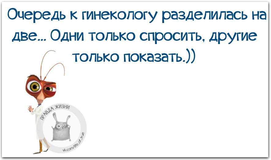 День гинеколога. 8 Марта правда жизни. Очередь к гинекологу прикол. В очереди у гинеколога анекдот. В любой непонятной ситуации с женщиной подливай ей вина.