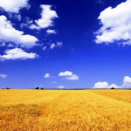 ����, ������, 58 ���