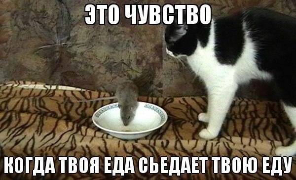 ������������ ���� - 10 ���� 2015 � 21:52