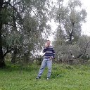  , , 49  -  2  2015    