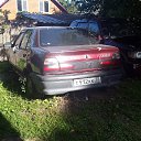 ���� ����, ��������, 38 ��� - ��������� 7 ������� 2015 � ������ ���� ����������