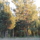 ���� ������, ����������� - ��������� 2 �������� 2015 � ������ ���� ����������