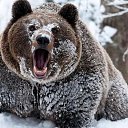 ���� Sergey, ������� - ��������� 8 ��� 2015