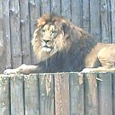 ���� ����, ������-��-����, 35 ��� - ��������� 12 ���� 2015 � ������ ���� ����������