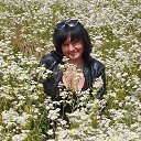 ���� �������, ������ - ��������� 4 ���� 2015