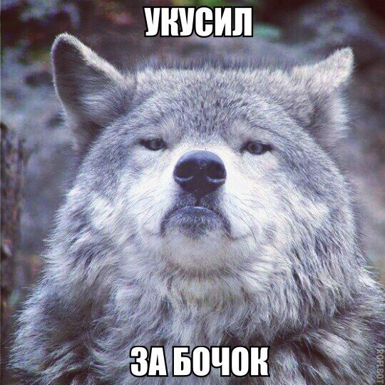 Волк на все случаи жизни. - 3