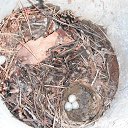 ���� �������, �����, 50 ��� - ��������� 30 ���� 2015 � ������ ����� ������ ��������.�