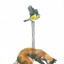 ���� ��������, �������� - ��������� 9 ������� 2015 � ������ ������ ��������