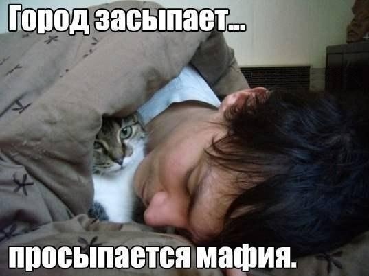 ������������ ���� - 9 ���� 2015 � 22:39