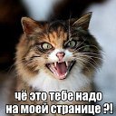 ���� ����������, ������������, 55 ��� - ��������� 4 ���� 2015 � ������ ������ ��������