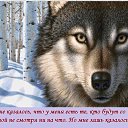 ���� ���������, ������� - ��������� 7 ���� 2015