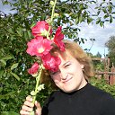 ���� ��������, ���������, 48 ��� - ��������� 3 ������� 2015 � ������ ���� ����������